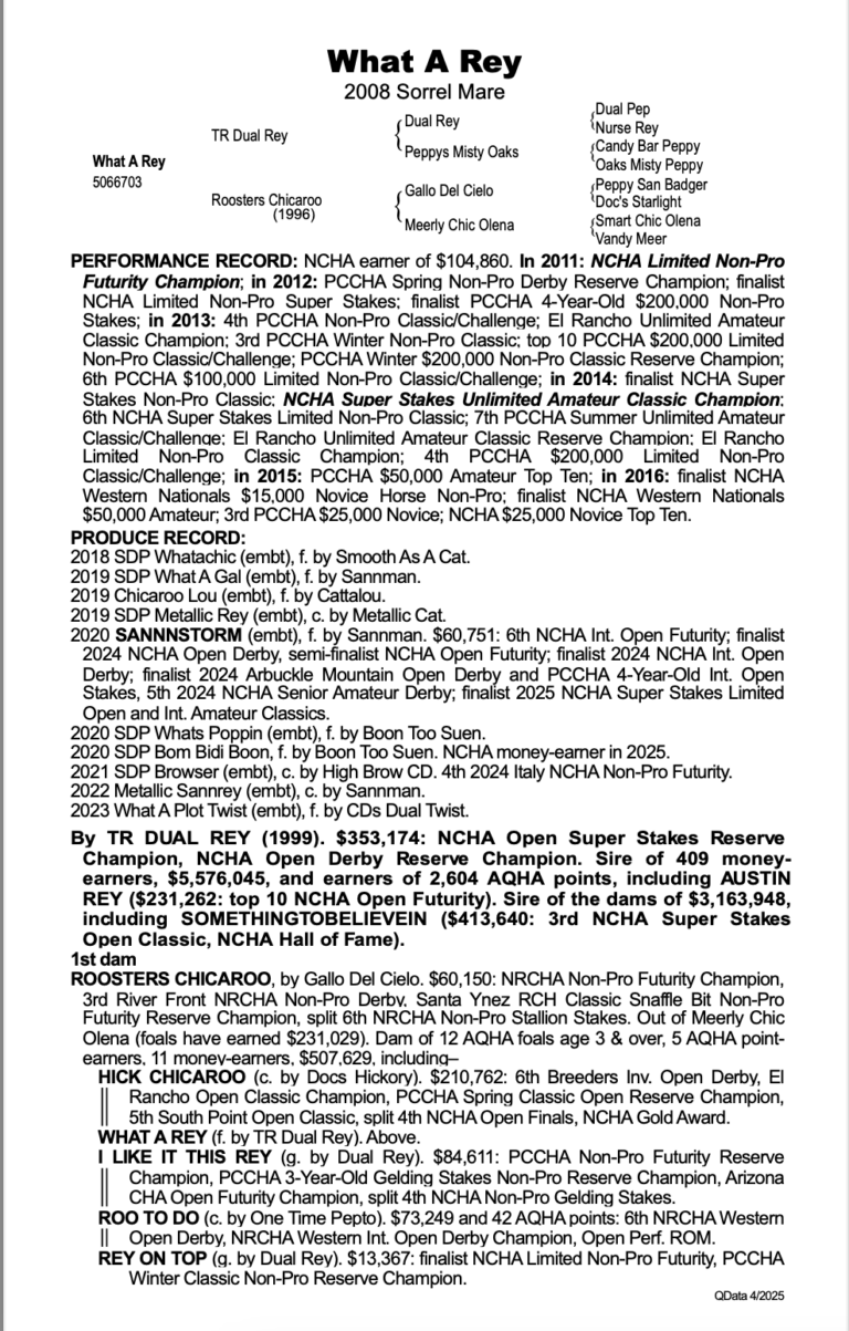 Screenshot 2025-05-06 at 8.27